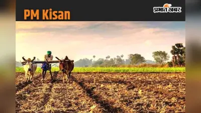 PM Kisan 18th Installment: 10 लाख किसानों के खाते में नहीं आएगी 18वीं किस्त! एक्शन में मोदी सरकार