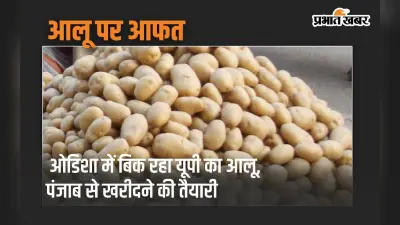 ओडिशा में बिक रहा यूपी का आलू, पंजाब से खरीदने की तैयारी