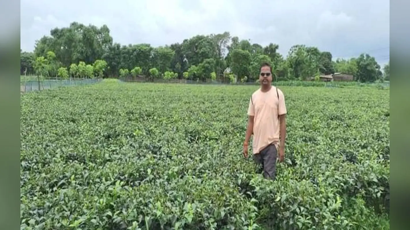 बिहार में कौन सा जिला किस फसल के लायक, डिजिटल सर्वे कराएगी सरकार