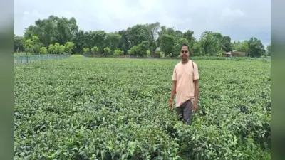 बिहार में कौन सा जिला किस फसल के लायक, डिजिटल सर्वे कराएगी सरकार