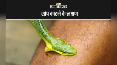 Snakebite: सांप के काटने पर शरीर में दिखने कैसा लक्षण दिखता है? जानिए स्नेक बाइट पर क्या करें