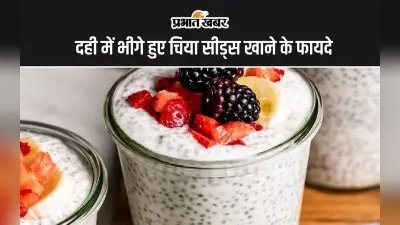 Soaked Chia Seeds With Curd: दही में भीगे हुए चिया सीड्स खाने के 5 सबसे बड़े फायदे