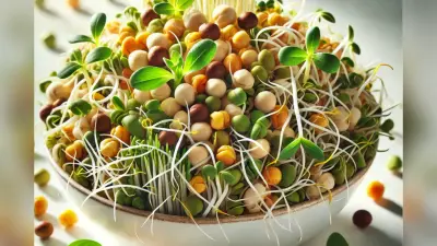 Sprouted Moong Benefits: सुबह एक कटोरी अंकुरित मूंग आपको दिन भर रखेंगे दिनभर ऊर्जावान