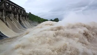 Koderma: भारी बारिश होने के कारण वन विभाग का डैम टूटा, भारी नुकसान