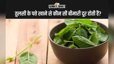 Tulsi Leaves Benefits: तुलसी के पत्ते खाने से कौन सी बीमारी दूर होती है?