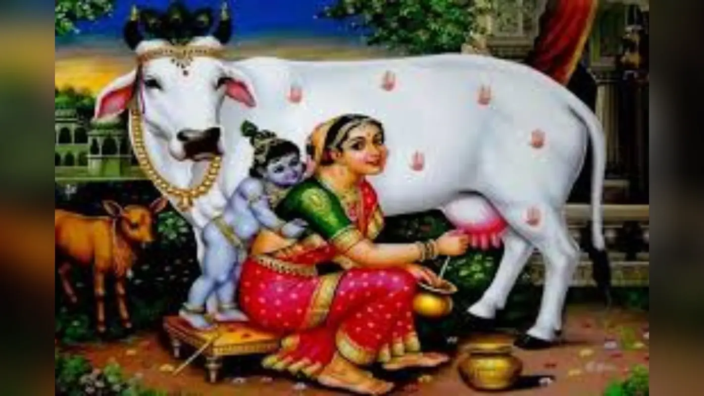 Chaturthi puja: दो पर्व, एक दिन, बहुला चौथ और गणेश चौथ पर्व का जानिए क्या है महत्व