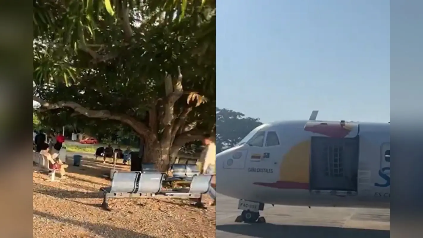 Viral Video: दुनिया का सबसे छोटा एयरपोर्ट, पेड़ के नीचे है वेटिंग एरिया