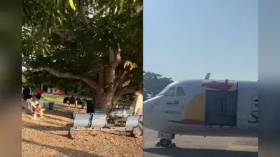 Viral Video: दुनिया का सबसे छोटा एयरपोर्ट, पेड़ के नीचे है वेटिंग एरिया