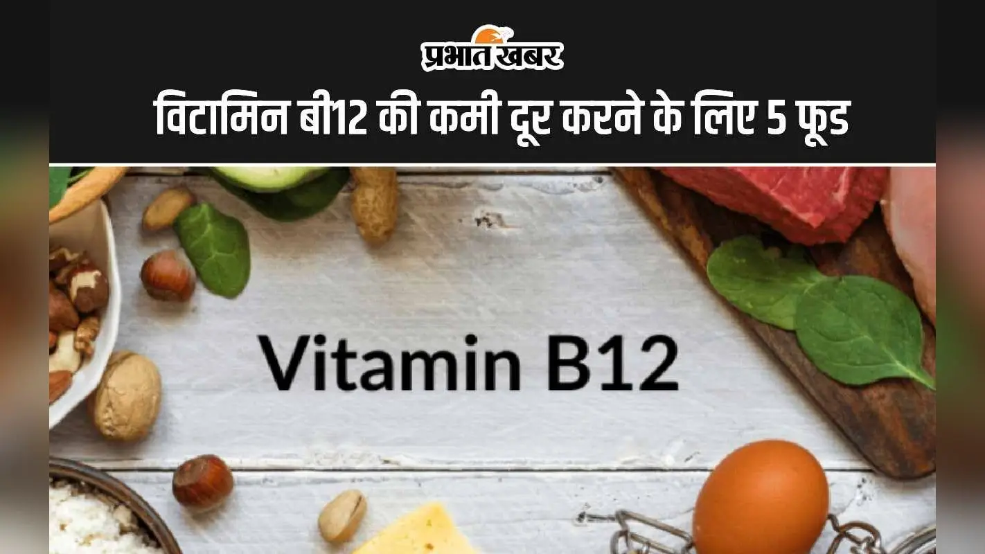 Vitamin Deficiency Remove: विटामिन बी12 की कमी को दूर करने के लिए 5 फूड