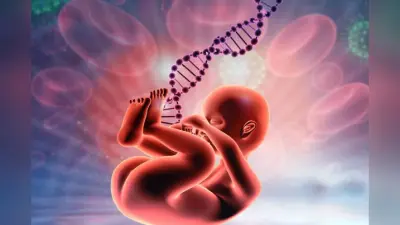 Y Chromosome: अब धरती पर पैदा नहीं होंगे लड़के, केवल लड़कियां लेंगी जन्म! रिसर्च ने मचाई सनसनी, जानें क्या है सच्चाई