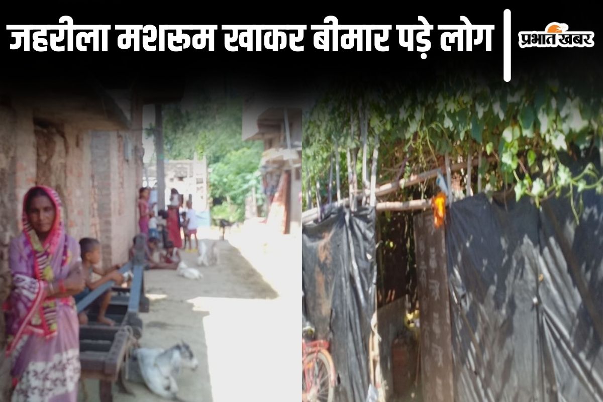 Bihar News: बांका में तीन परिवार ने खा लिया जहरीला मशरूम, आधी रात को 14 लोगों की बिगड़ी हालत