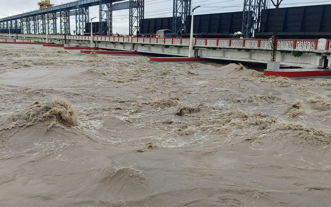 Flood in Bihar: भागलपुर के चोरहर भवनपुरा पुल के पास तटबंध क्षतिग्रस्त, बांधने में लगे 100 से ज्यादा मजदूर, अगर टूटा भीषण तबाही