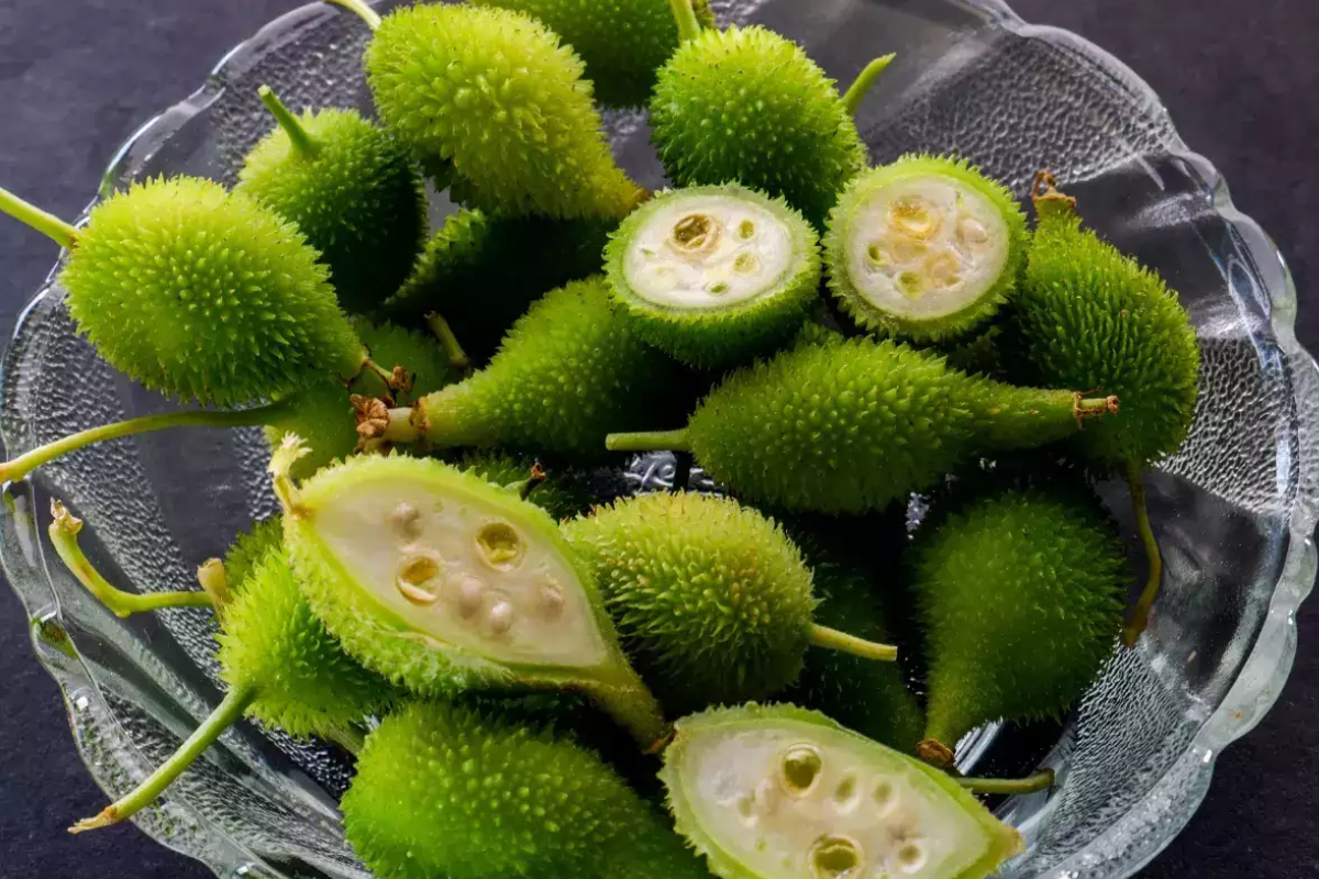 Benefits Of Kakoda: ककोड़ा (कंटोला) को घर में उगाएं और जानें इसके अद्भुत सेहतमंद फायदे