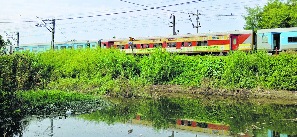 Chhapra News : गंगा के निचले इलाकों में जल स्तर में कमी आने से पटरी पर लौट रहा है जनजीवन