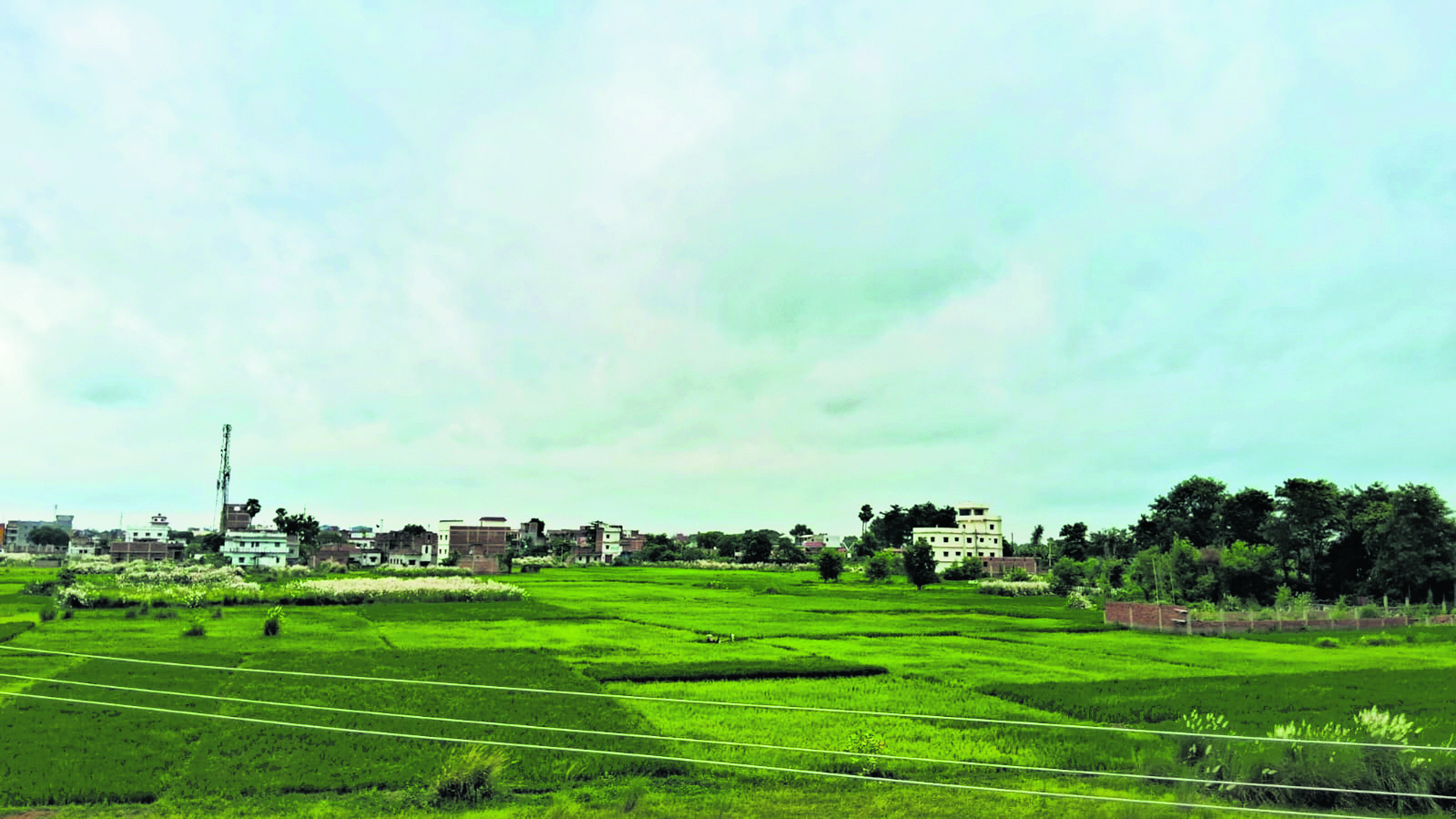 Gopalganj News : सुबह से सुहाना रहा मौसम, तो दोपहर से पड़ीं बौछारें, किसानों के चेहरे खिले