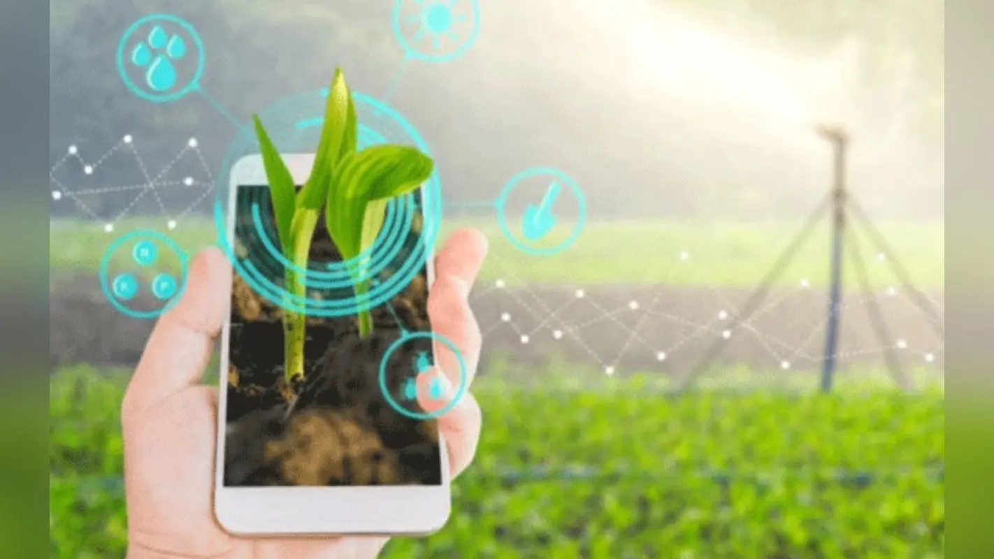Bihar Digital Crop Survey : 20 जिलों के 1385 गांवों में सर्वेक्षण शुरू, डिजिटल क्रॉप सर्वे के तहत तैयार हो रहा डाटा