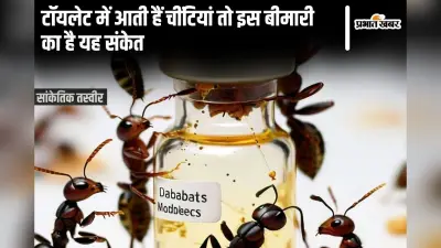 Myth: टॉयलेट में आती हैं चींटियां तो इस बीमारी का है यह संकेत