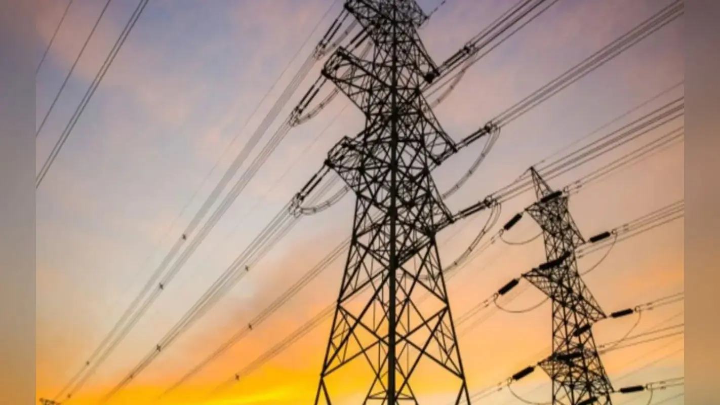 Bihar Electricity: पड़ोसी देशों के बिजली परियोजना से बिहार मांगा हिस्सेदारी, ऊर्जा मंत्री ने केंद्र सरकार को लिखा पत्र