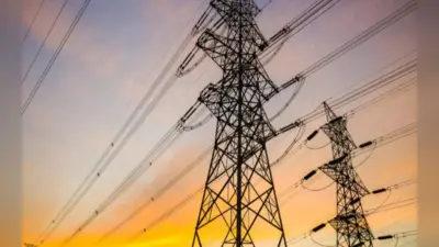 Bihar Electricity: पड़ोसी देशों के बिजली परियोजना से बिहार मांगा हिस्सेदारी, ऊर्जा मंत्री ने केंद्र सरकार को लिखा पत्र
