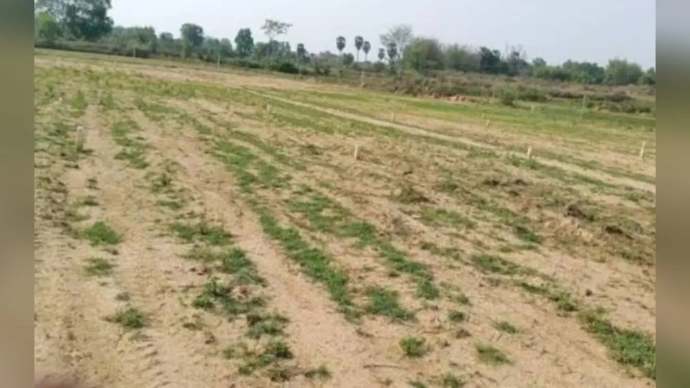 Bihar Land Survey: मोतिहारी में दादा व पिता की जमीन पर 94 साल की वृद्धा ने किया दावा, जमीन सर्वे ने जगायी आस