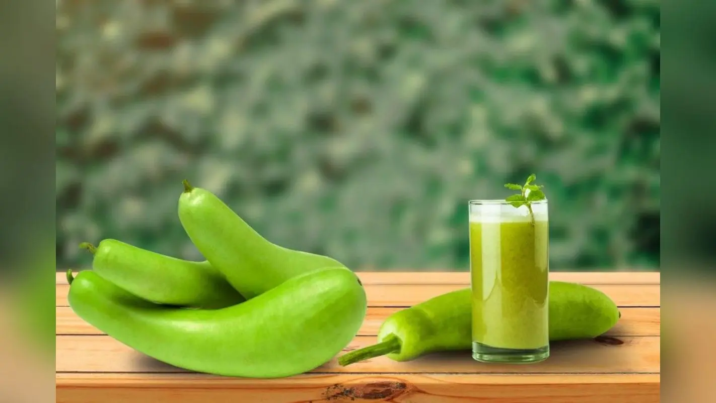 Bottle Gourd Juice Benefits: लौकी के जूस पीने से भाग जाती हैं ये 5 गंभीर बीमारियां