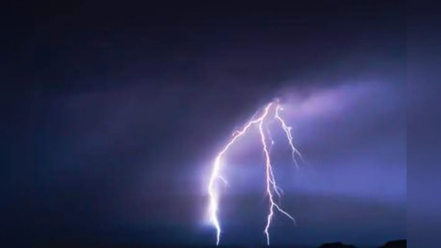 Chhattisgarh News: अपराधियों के मन में हो कानून का खौफ, पीड़ितों को तत्काल मिले न्याय, अधिकारियों को CM साय का सख्त निर्देश
