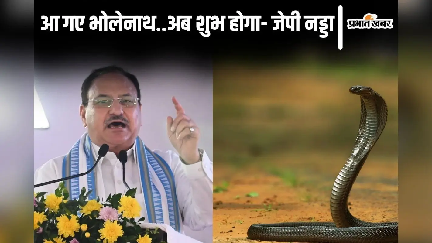 बिहार में जेपी नड्डा के भाषण के दौरान डॉक्टरों के बीच निकला सांप, बोले मंत्री- मिल गया भोलेनाथ का आशीर्वाद…