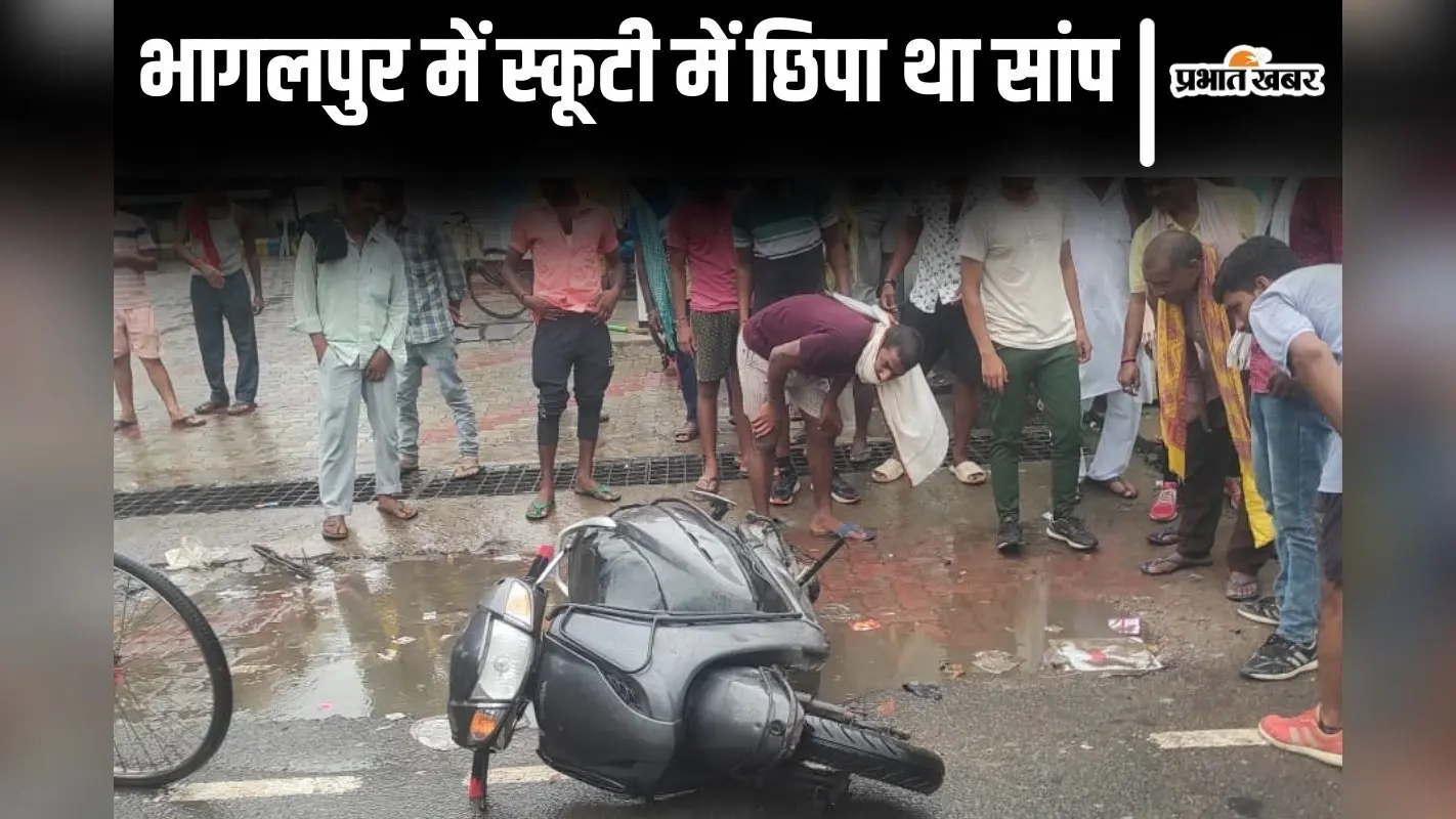 VIDEO: भागलपुर में स्कूटी में छिपा था खतरनाक सांप, गाड़ी छोड़कर भागा चालक, देखिए माहौल…