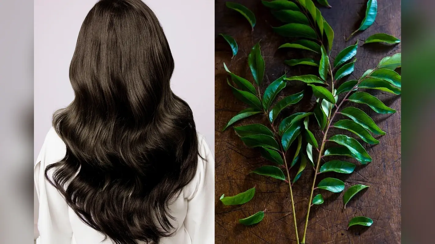 Curry Leaves for Healthy Hair: मजबूत और स्वस्थ बालों के लिए करी पत्ता है बेहद फायदेमंद