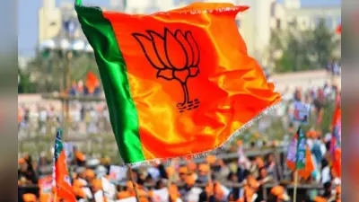 भाजपा को दमदार अध्यक्ष की तलाश