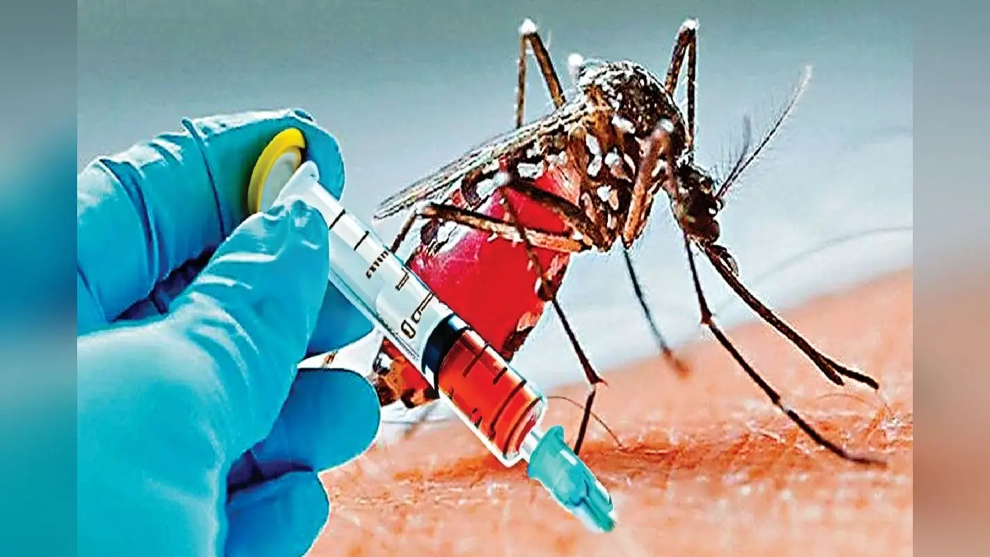 Dengue Vaccine : डेंगू से लड़ना हुआ आसान, दिल्ली समेत 18 राज्यों में वैक्सीन के ट्रायल शुरू