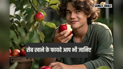 Seb Khane Ke Fayde: सेब है सेहत के लिए अमृत, जानिए एप्पल खाने के 6 फायदे के बारे में