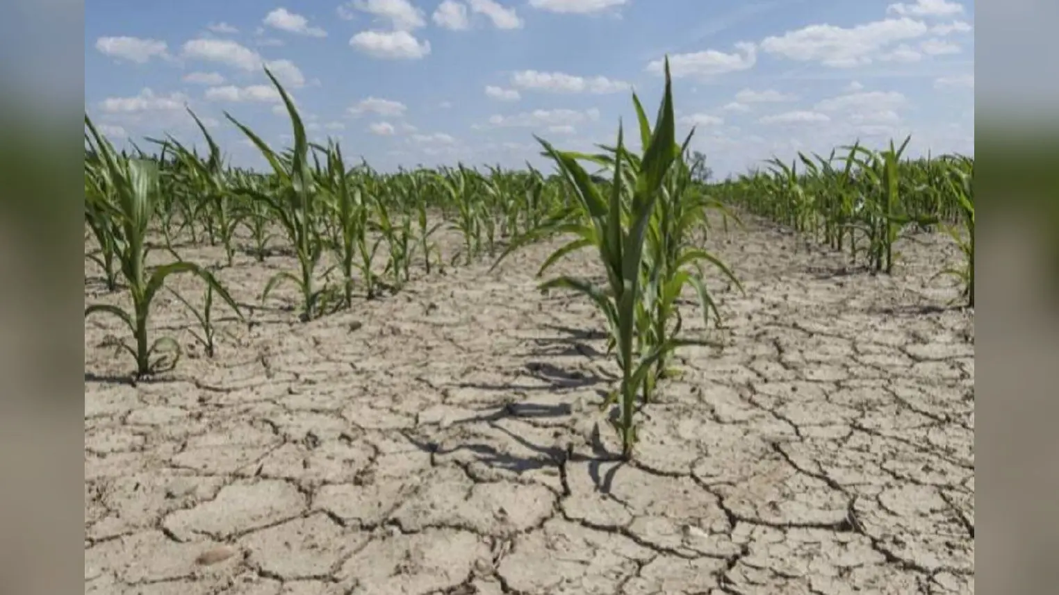 Famine in Bihar: अकाल के मुहाने पर बिहार, 21 जिलों में हर साल सुखाड़ के हालात