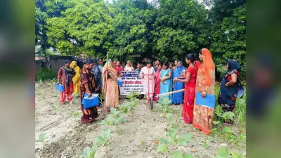 RPCAUniversity, Pusa, Samastipur: आटा चक्की का किसानों के बीच किया गया प्रत्यक्षण