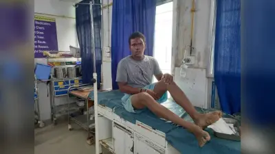 घरेलू विवाद में भाई ने पीटकर किया घायल