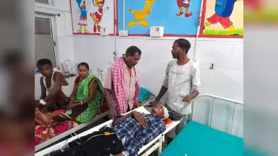 हादसा : स्कॉर्पियो के धक्के से स्कूटी सवार युवती समेत दो घायल, भर्ती