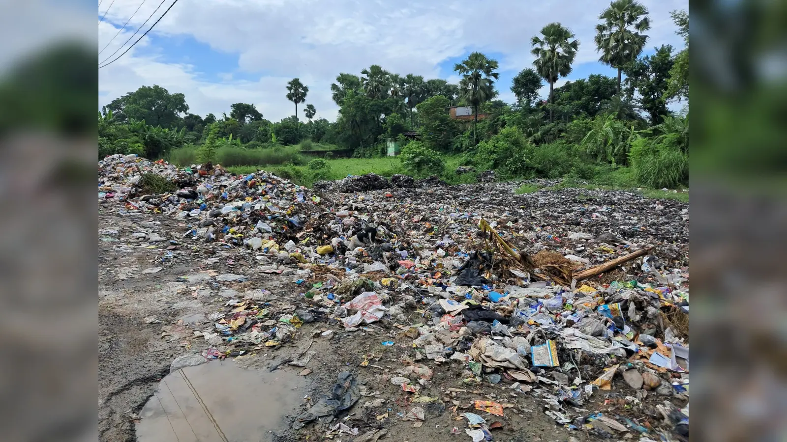 Samastipur News: Jamuari river becomes garbage dumping zone:मृतप्राय जमुआरी नदी बनी कचरे का डंपिंग जोन, निगम प्रशासन की अनदेखी