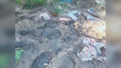 वाल्मीकि टाइगर रिजर्व में नेपाली हाथियों का झुंड ने मचाया तांडव