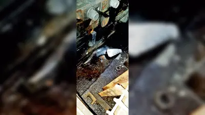 सेक्शन मिल में क्रेन से गिर ठेका श्रमिक जख्मी