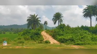 मंगलापोखर से पहाड़िया टोला तक सड़क बनाने का रास्ता साफ