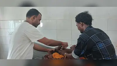 Giridih News: जंगली सूअर मारने के लिए रखा प्रेशर बम फटने से पिता-पुत्र गंभीर रूप से घायल