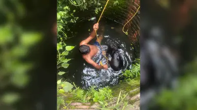 DHANBAD NEWS : कुआं में गिरे गाये के बछड़े का राहुल तत्काल ने तत्काल किया रेस्क्यू