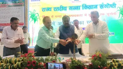 रीगा चीनी मिल में इसी सत्र में शुरू होगी गन्ने की पेराई : मंत्री