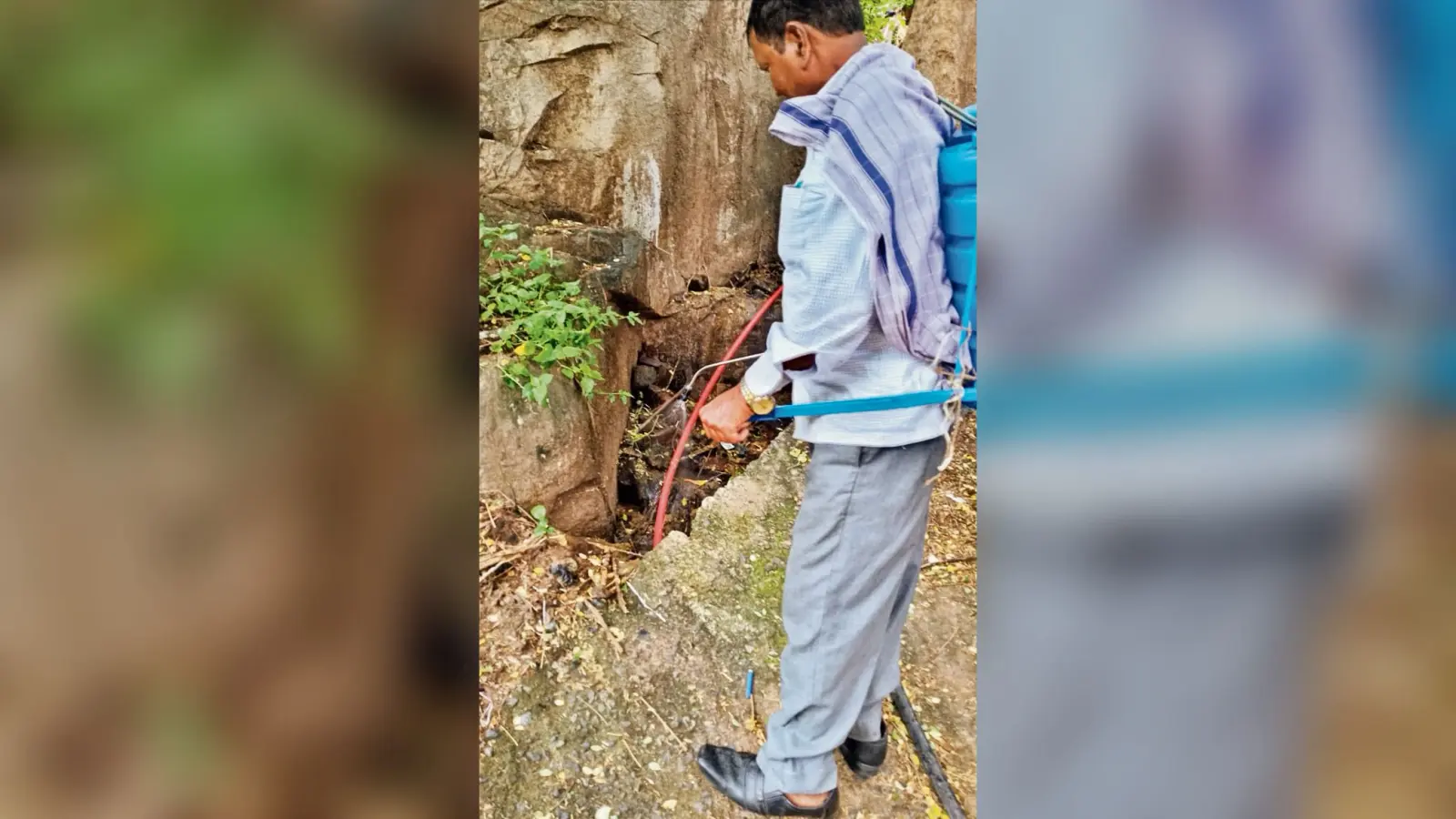 Gaya News : एएनएमएमसीएच के डेंगू स्पेशल वार्ड में 19 का चल रहा इलाज