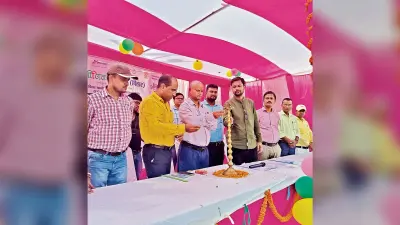 1334 युवक-युवतियों में 257 का रोजगार के लिए चयन