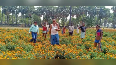 फूल उत्पादन क्षेत्र में आत्मनिर्भर बनेंगे किसान