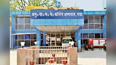 Gaya News : एएनएमएमसीएच में पितृपक्ष व मंकी पॉक्स के लिए 48 बेड रिजर्व