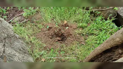 Aurangabad News : पचरूखिया के जंगल से मिले तीन-तीन किलो के दो आइइडी
