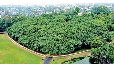 ‘द ग्रेट बनियान ट्री’ का नाम गिनीज बुक ऑफ वर्ल्ड रिकॉर्ड से हटा