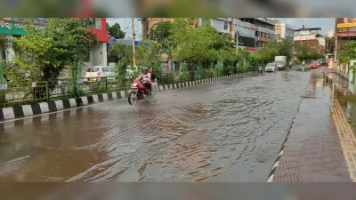 Rourkela News: झमाझम बारिश ने गर्मी से दी राहत, कई पेड़ उखड़े, जलजमाव से परेशानी